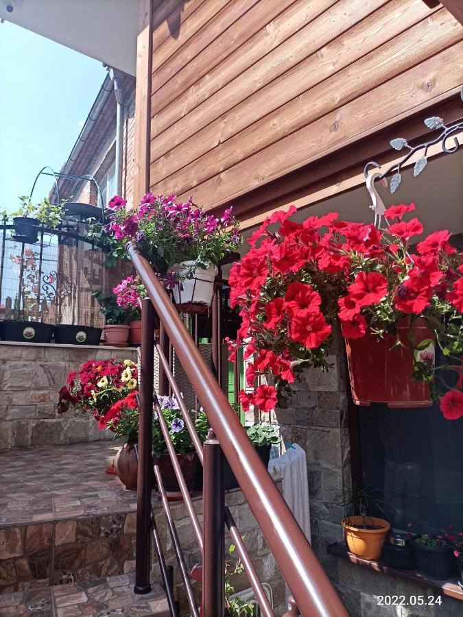 Damaris Hotel Sozopol Exterior photo