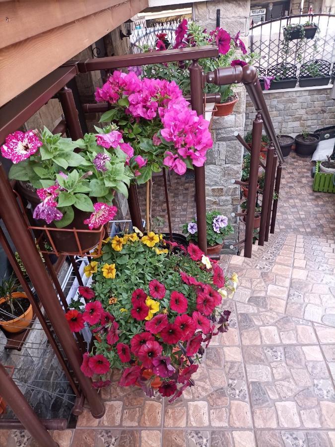 Damaris Hotel Sozopol Exterior photo